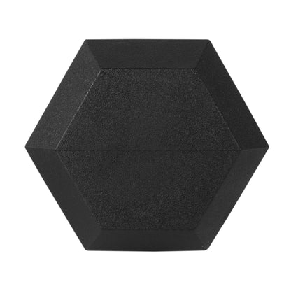 Barbell, 65Lb Coated Hex Dumbbell, Single